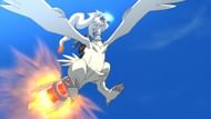 Reshiram in the anime (Image via The Pokemon Company)